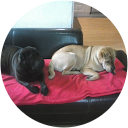 CHURROS-MAN 974 profile picture